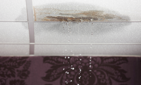 Plumber Sunshine West